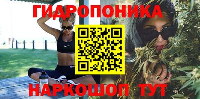 гидра Можга