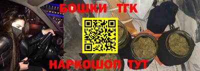 сатива Моздок
