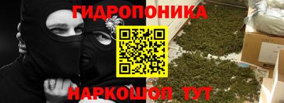 сатива Моздок