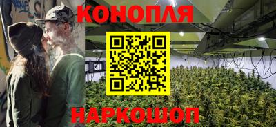 сатива Моздок