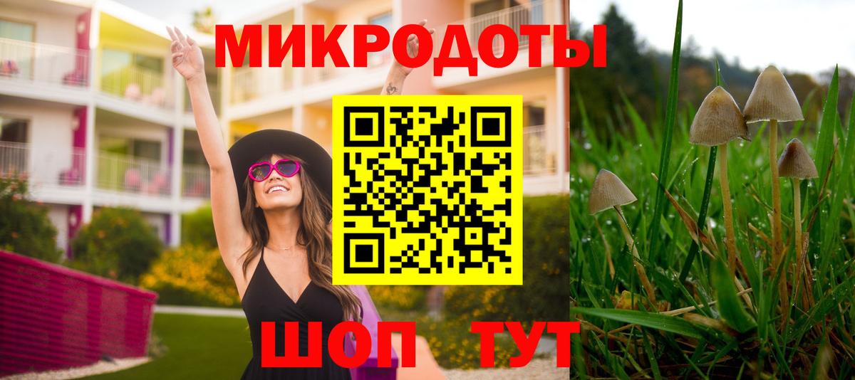 Урус-Мартан  Галлюциногенные грибы Magic Shrooms  купить наркотики цена  Вход с VPN  Псилоцибиновые грибы GOLDEN TEACHER 